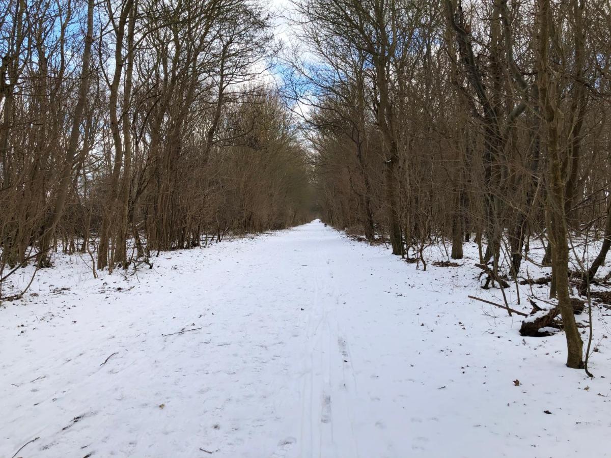 Ferienwohnungostseeblick Börgerende-Rethwisch Exteriör bild