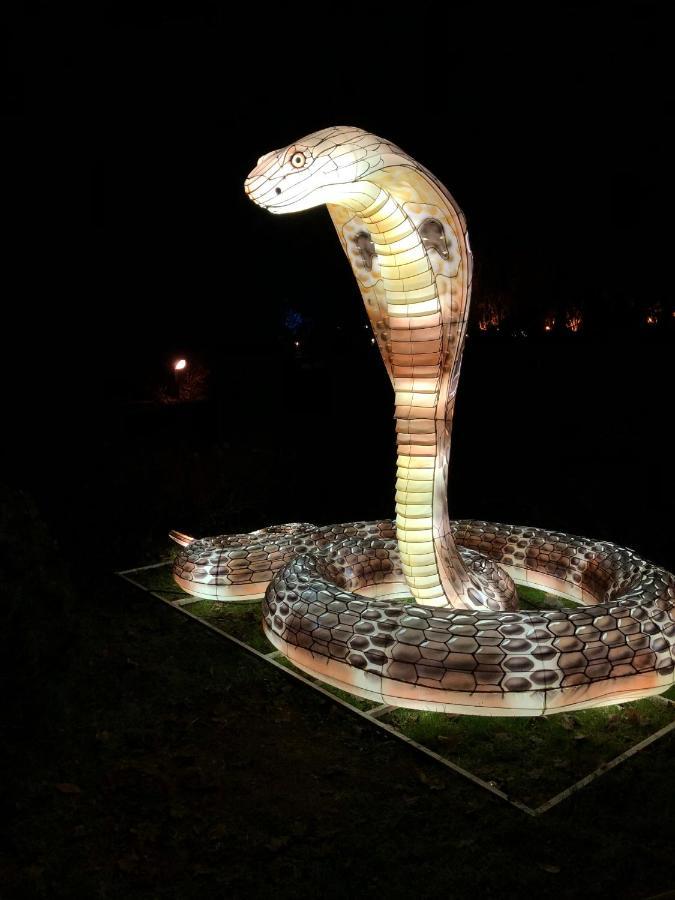 Ferienwohnungostseeblick Börgerende-Rethwisch Exteriör bild