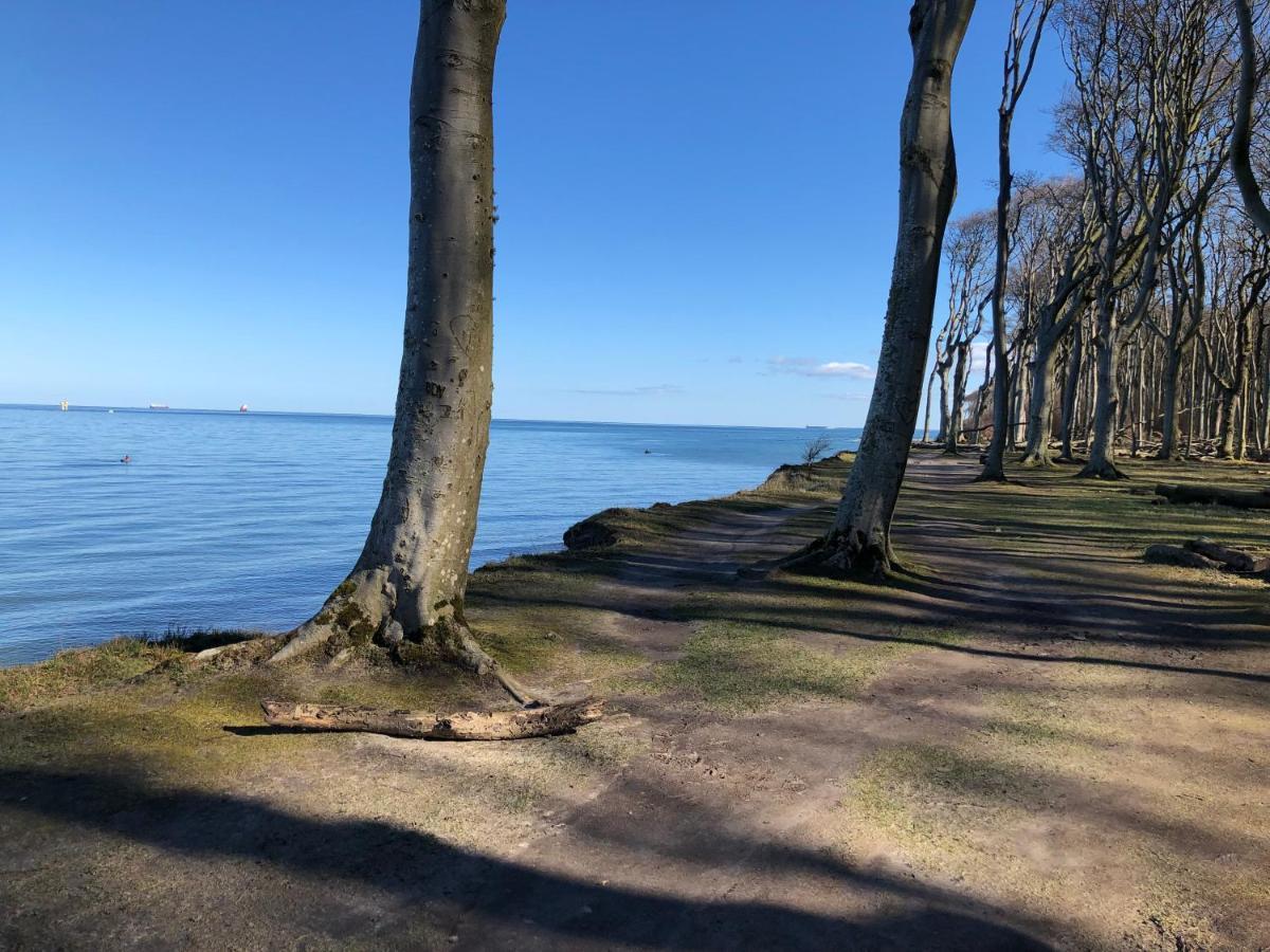 Ferienwohnungostseeblick Börgerende-Rethwisch Exteriör bild