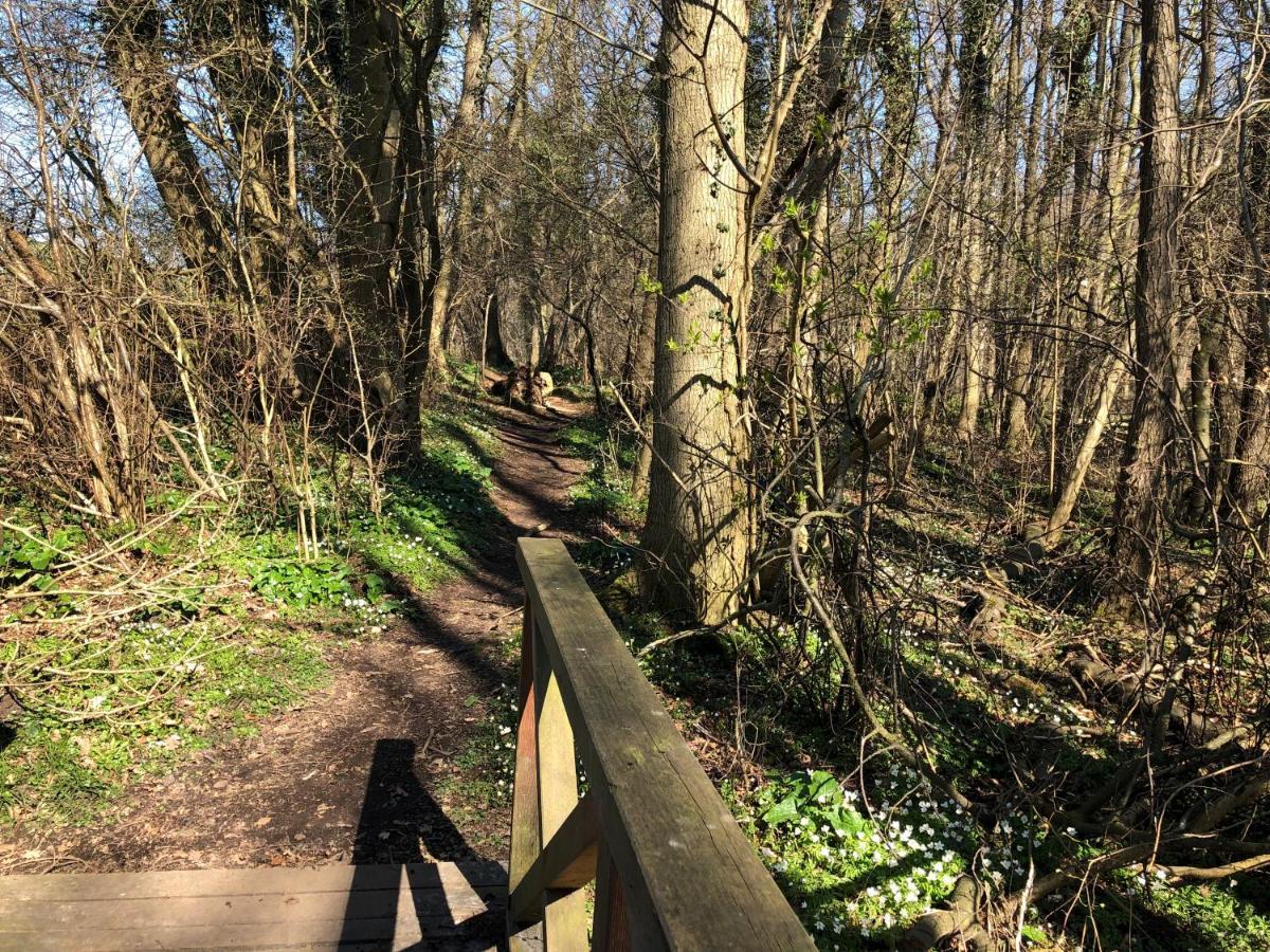 Ferienwohnungostseeblick Börgerende-Rethwisch Exteriör bild