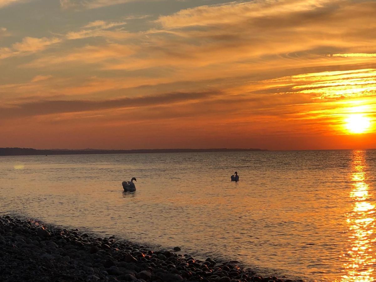 Ferienwohnungostseeblick Börgerende-Rethwisch Exteriör bild