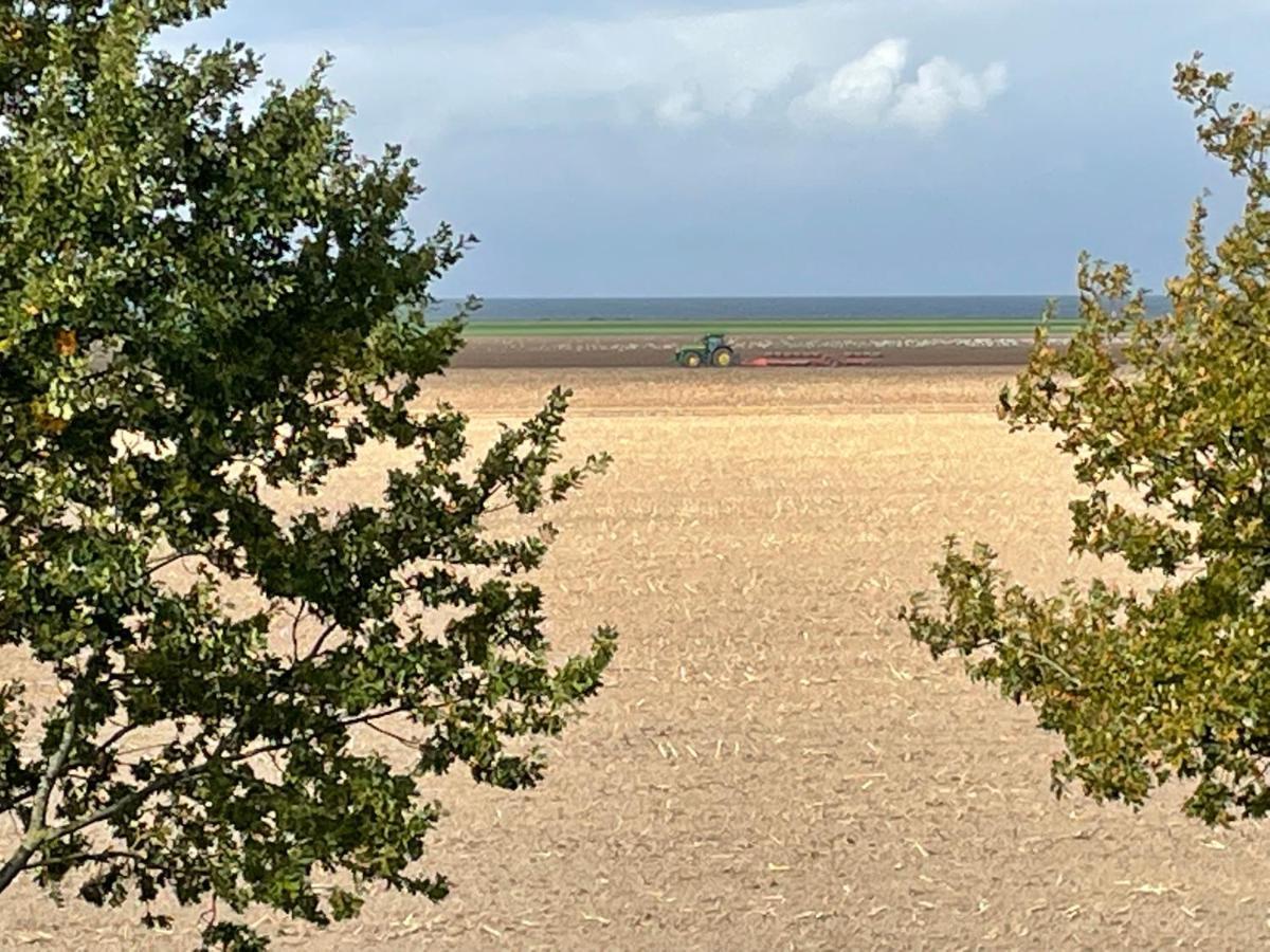 Ferienwohnungostseeblick Börgerende-Rethwisch Exteriör bild