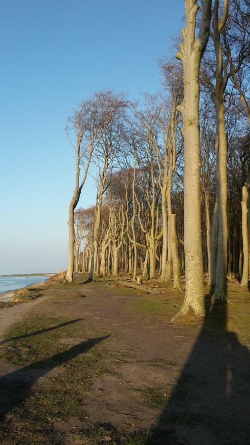 Ferienwohnungostseeblick Börgerende-Rethwisch Exteriör bild